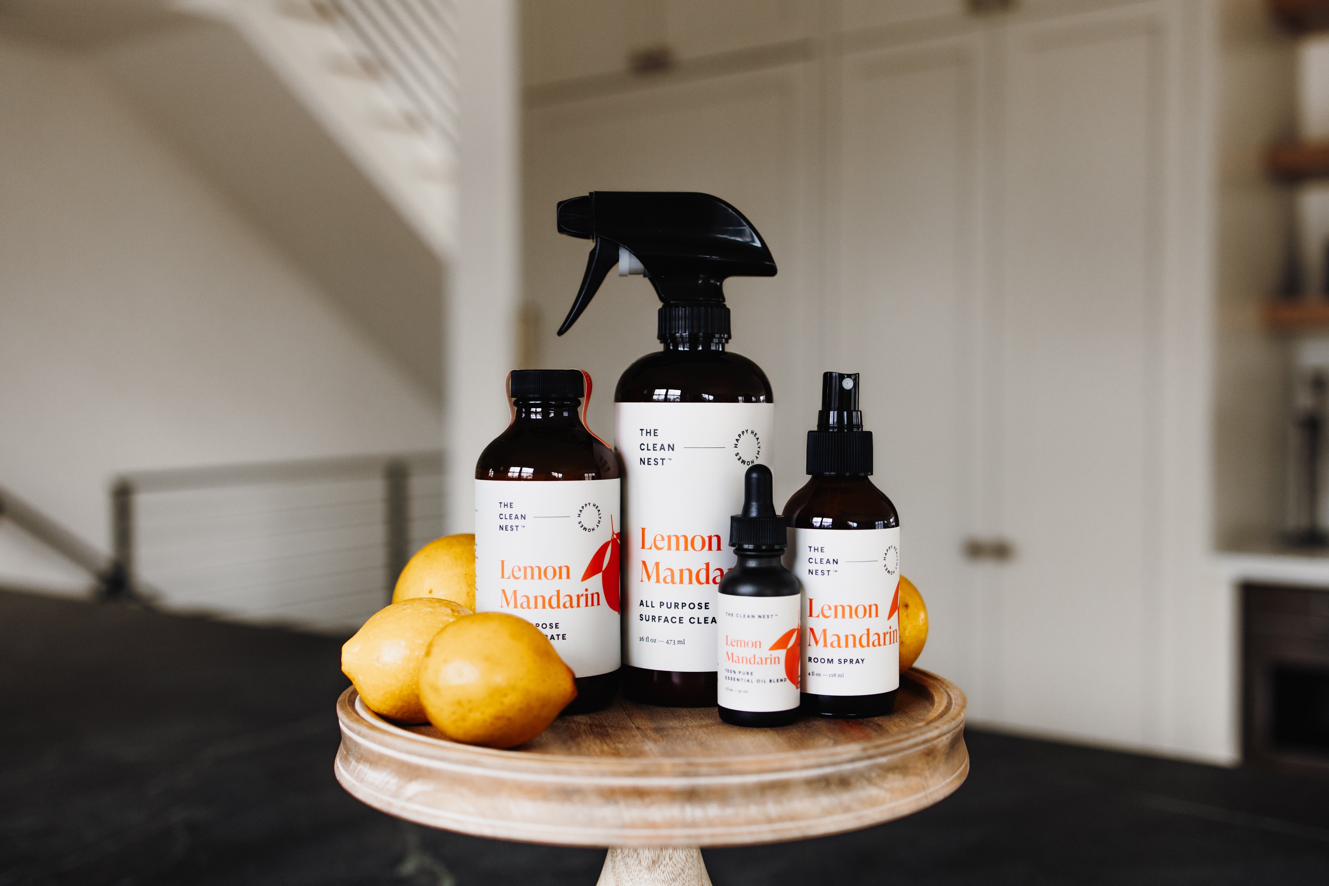 Cleaning Essentials – The Clean Nest